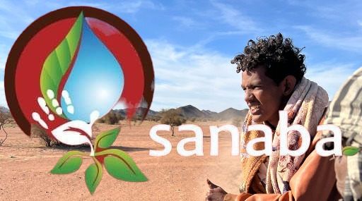 Sanaba – Empowering Sudan through Humanitarian, Educational, and Environmental Initiatives